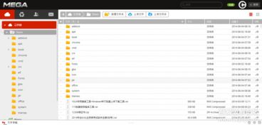 电脑精品软件合集 提升效率与体验的计算机软件指南